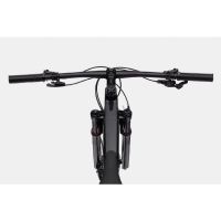 BICI CANNONDALE SCALPEL HT CARBON 4