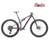 BICI SPECIALIZED EPIC 8 EVO EXPERT 2025