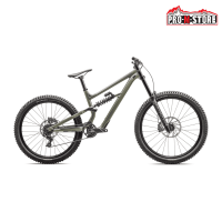 SPECIALIZED STATUS 170 2 DH BIKE