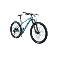 BICI ZASKAR LT AL EXPERT 29