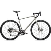 SPECIALIZED DIVERGE E5 BIKE