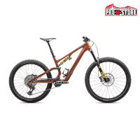 BICI SPECIALIZED STUMPJUMPER 15 OHLINS