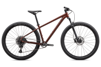 BICI SPECIALIZED ROCKHOPPER EXPERT 27.5