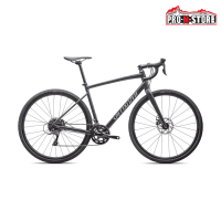 SPECIALIZED DIVERGE E5 2025 BIKE