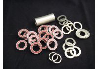 SPECIALIZED 9891-5270 demo rear chassis bearing kit