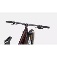 BICI MTB SPECIALIZED EPIC EVO PRO S GLOSS RED ONYX 94822-1002