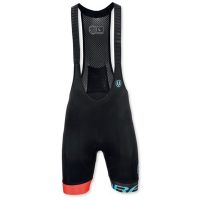 paragon v2 bib short