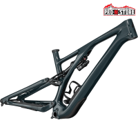 Stumpjumper EVO Frame