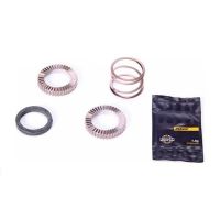 KIT 2 MAVIC 24T RATCHETS WITH SPRING AND GREASE FOR ID360 MTB BODIES