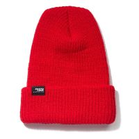 CAPPELLO SANTA CRUZ PORT STRIKE BEANIE