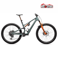 BICI SPECIALIZED S-WORKS STUMPJUMPER 15 LTD