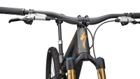 BICI SPECIALIZED S-WORKS STUMPJUMPER 15