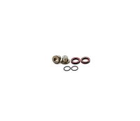 ORBEA DROPOUTS HARDWARE KIT OCCAM H 2016