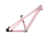 TELAIO SPECIALIZED P.3