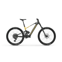 Mondraker Neat R 29'' 12v 160mm 360Wh TQ HPR-50