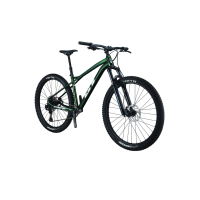 BICI GT ZASKAR LT AL ELITE 29