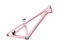 TELAIO SPECIALIZED P.3