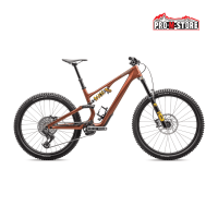 Bici Specialized Stumpjumper 15 Öhlins Coil