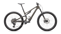 BICI SPECIALIZED STUMPJUMPER 15 EXPERT