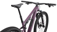 BICI SPECIALIZED EPIC 8 EVO EXPERT 2025