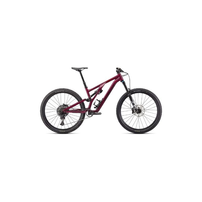 Stumpjumper evo discount comp m5 29