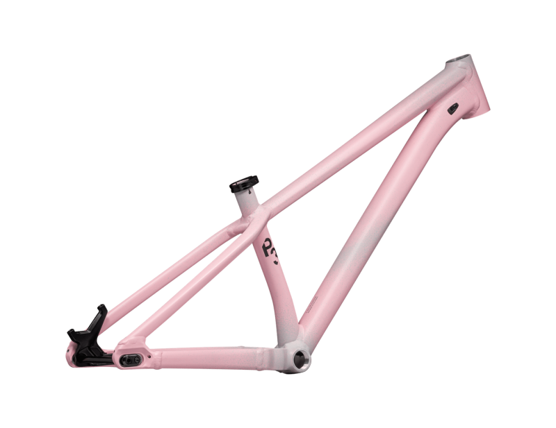 TELAIO SPECIALIZED P.3