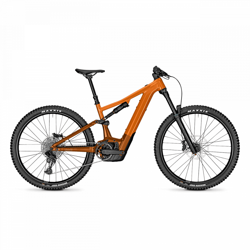 BICI FOCUS SAM2 6.7